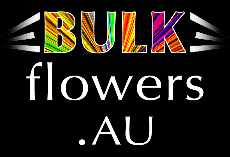 BULK FLOWERS