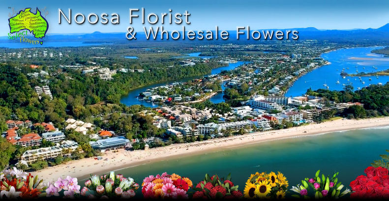SELECT FLOWERS NOOSA FLORIST